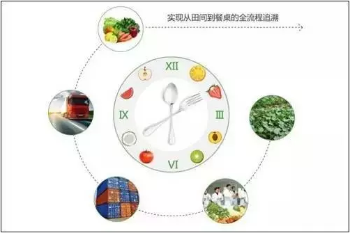 關于質(zhì)量安全追溯的那點真實現(xiàn)狀